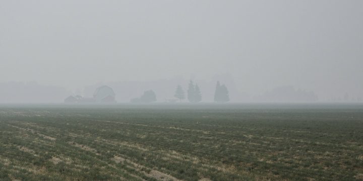 Miljökemi